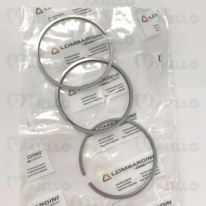 SERIE FASCE SEGMENTI STD LOMBARDINI D.72MM