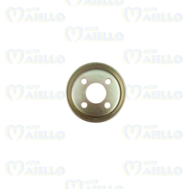 Galoppino pompa acqua Yanmar 523