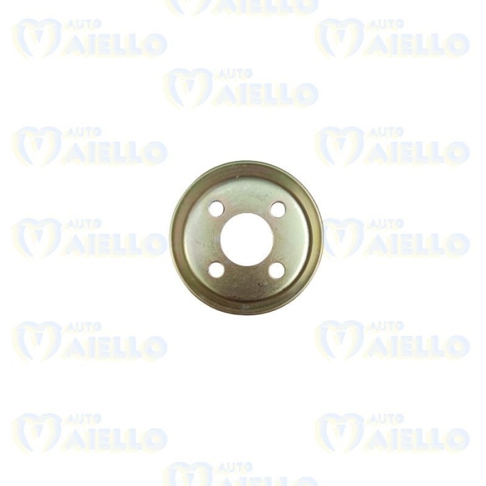 Galoppino pompa acqua Yanmar 523