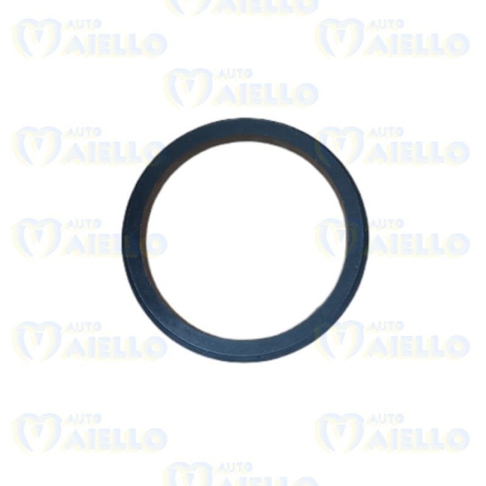 GUARNIZIONE SOTTO GALLEGGIANTE AIXAM